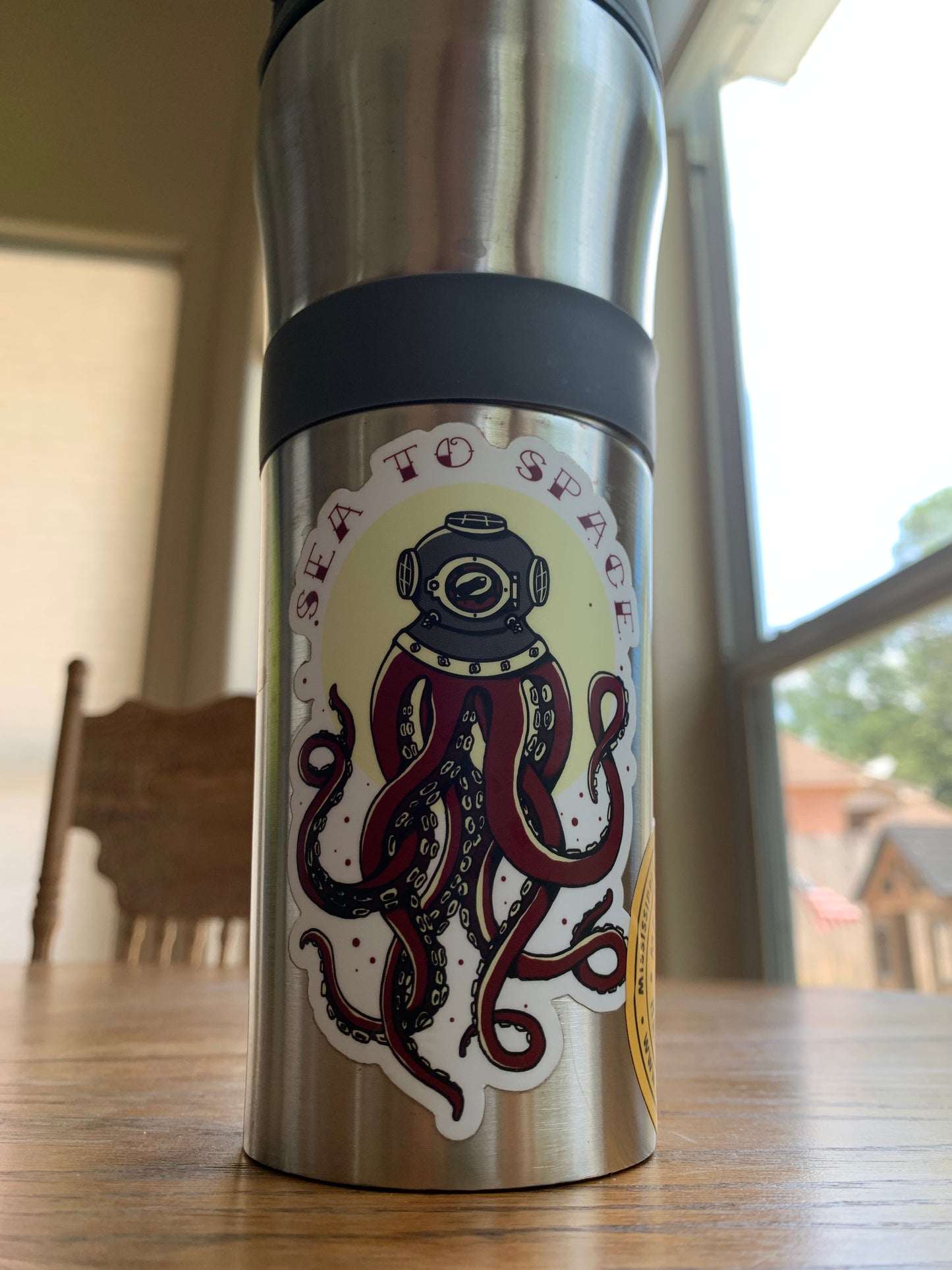 Sea to Space Buddy Pair