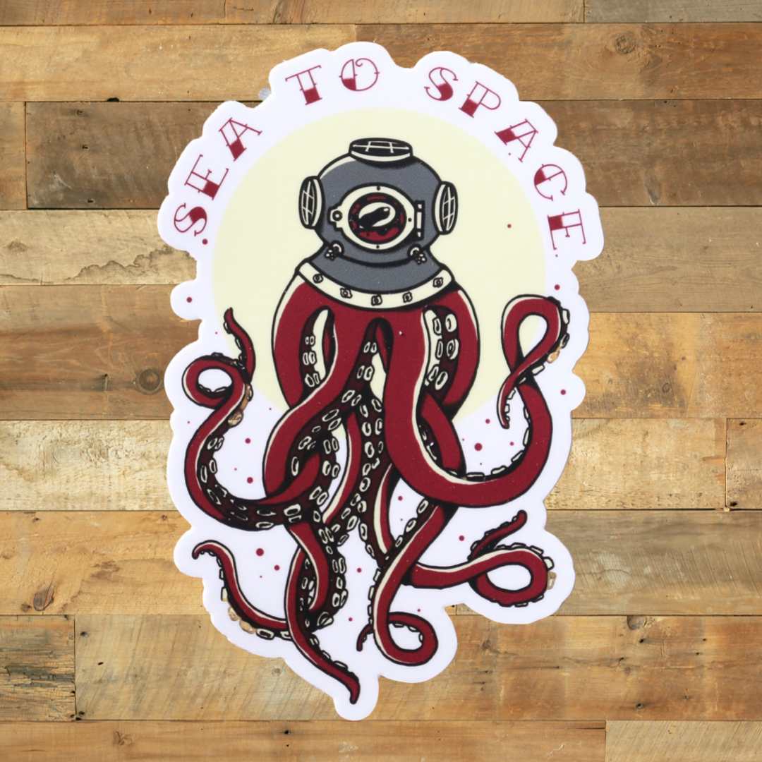 Sea to Space Sticker
